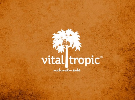 Diseño de logotipo y elementos de imagen