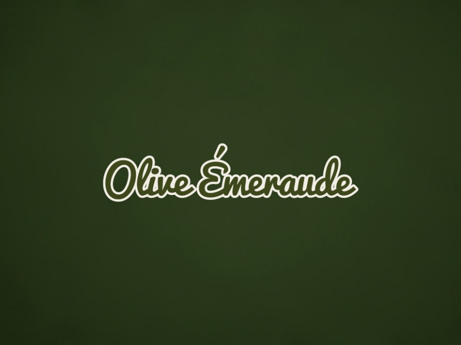 Diseño gráfico de logotipo y marca para etiquetas de aceite de oliva